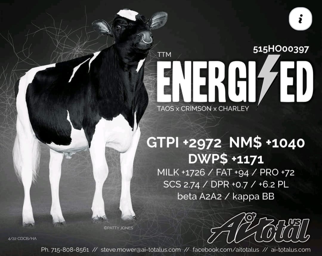 ENERGIZED — 515HO00397